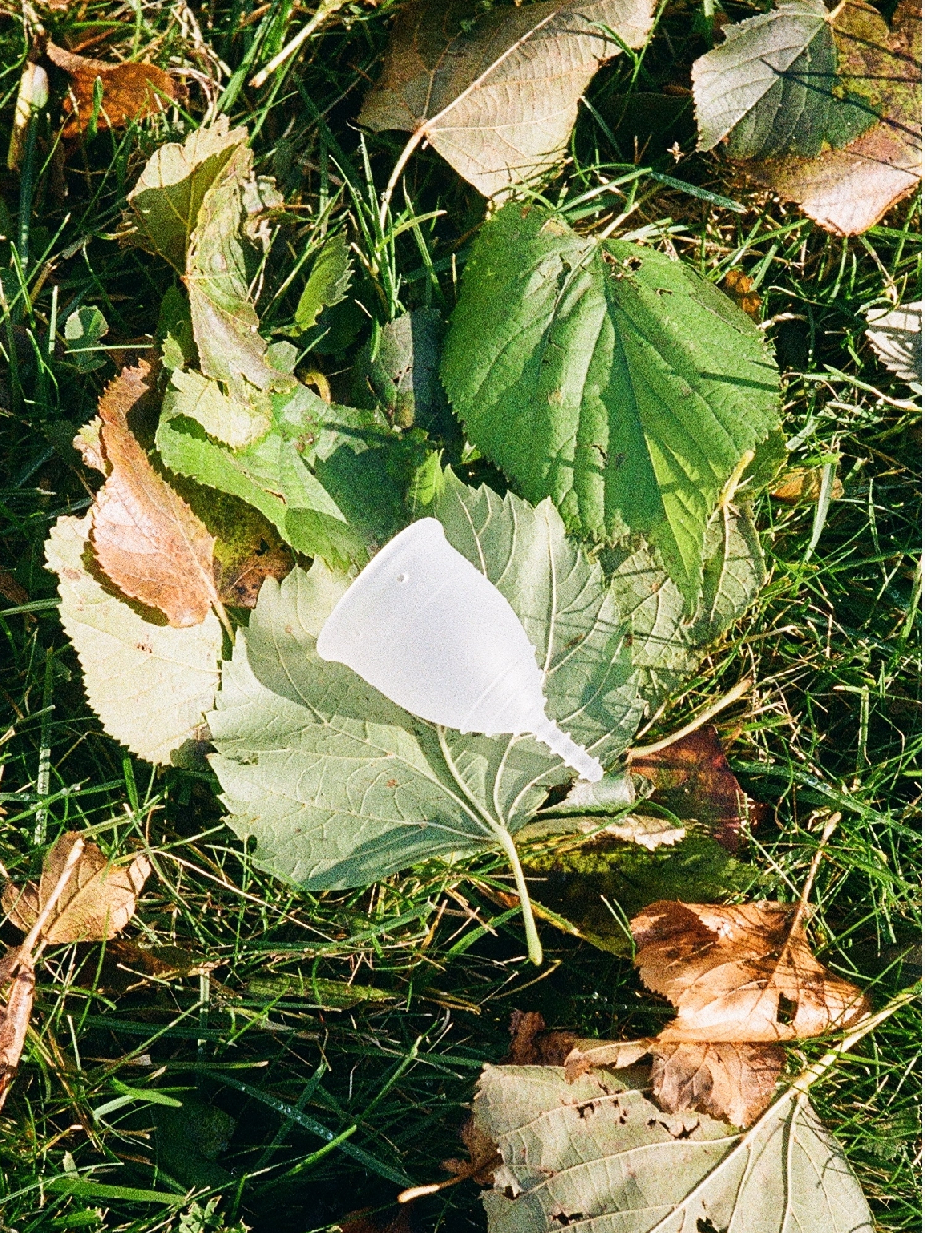 OrganiCup Menstruationskop